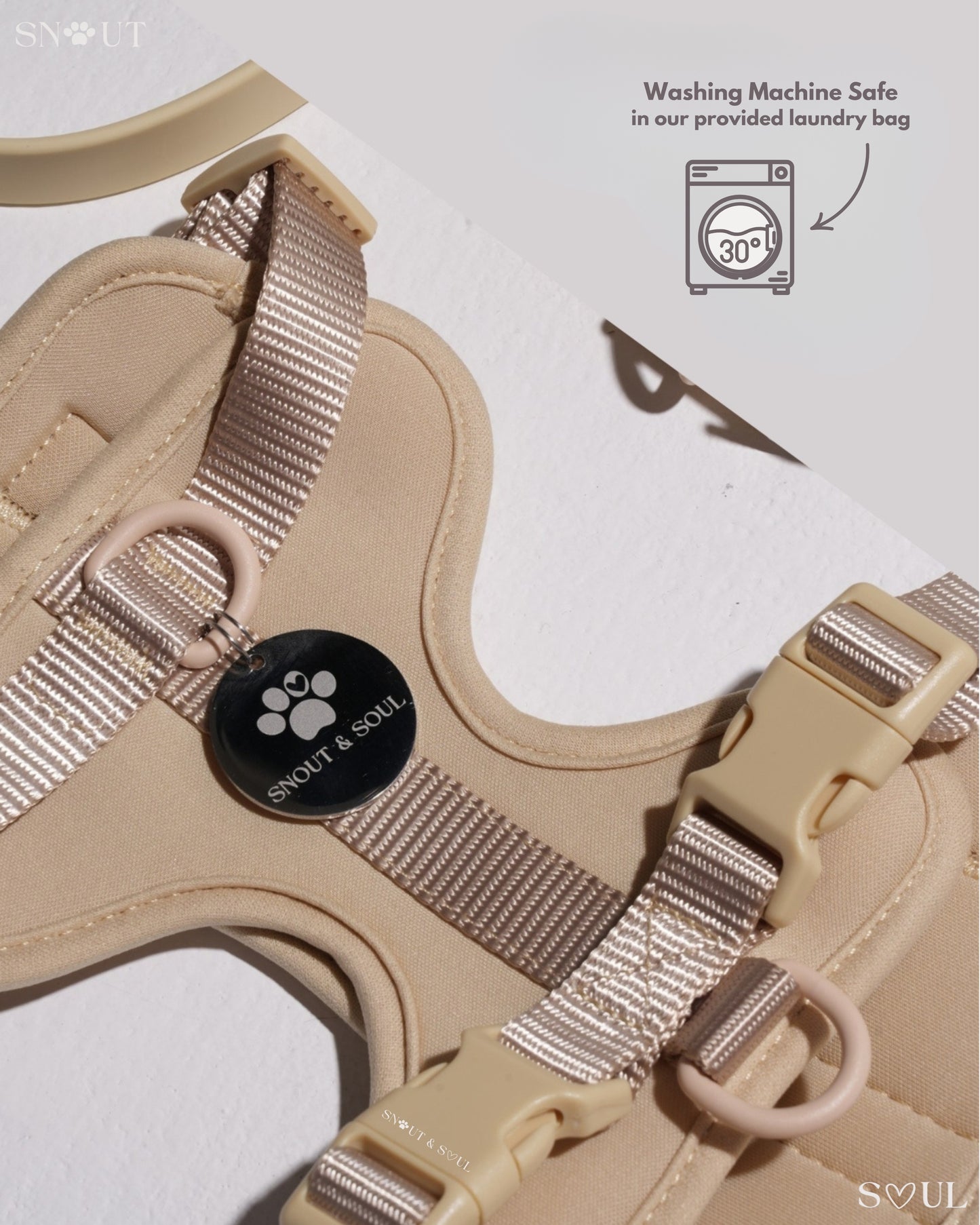 Walk & Play Set