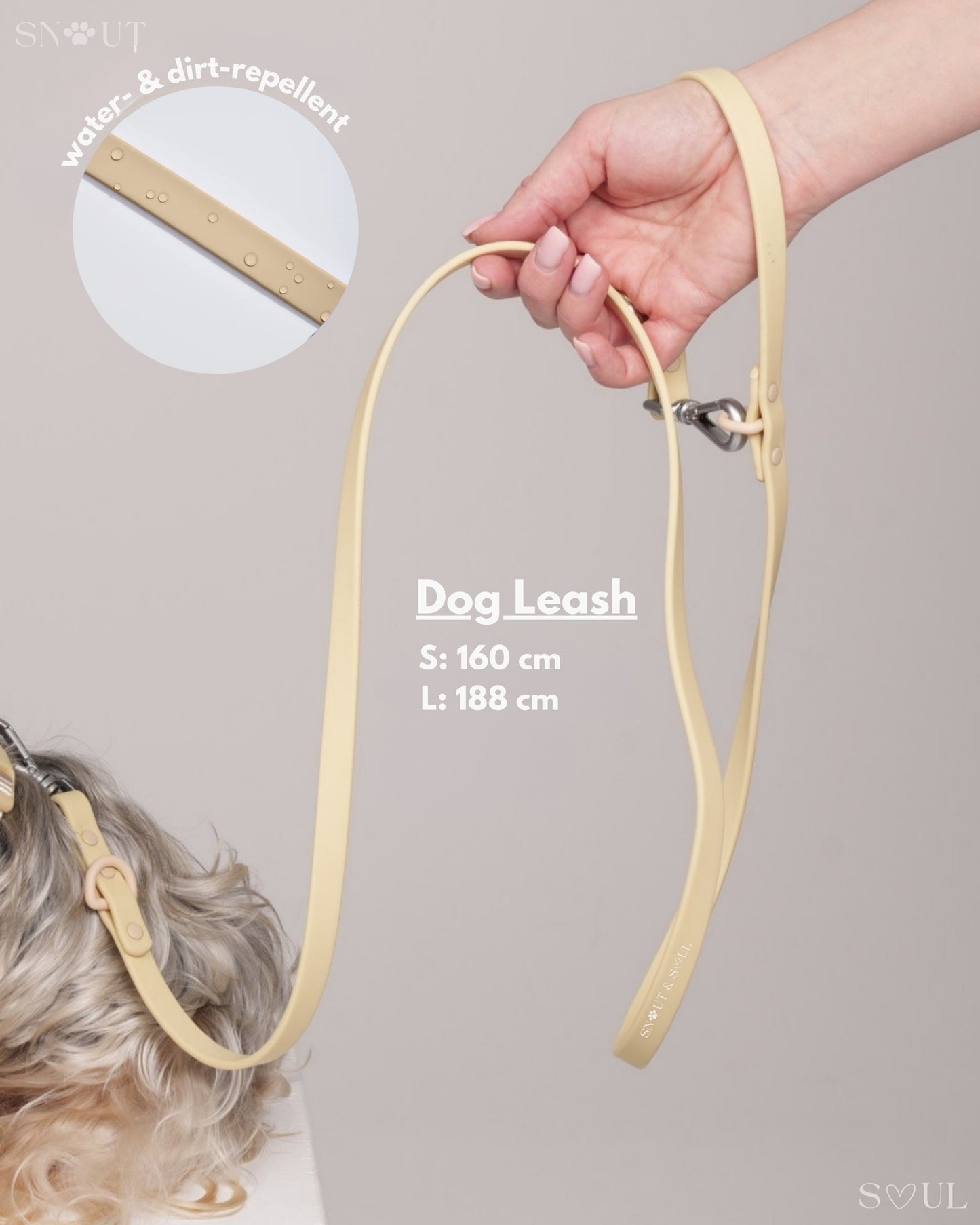 Leash