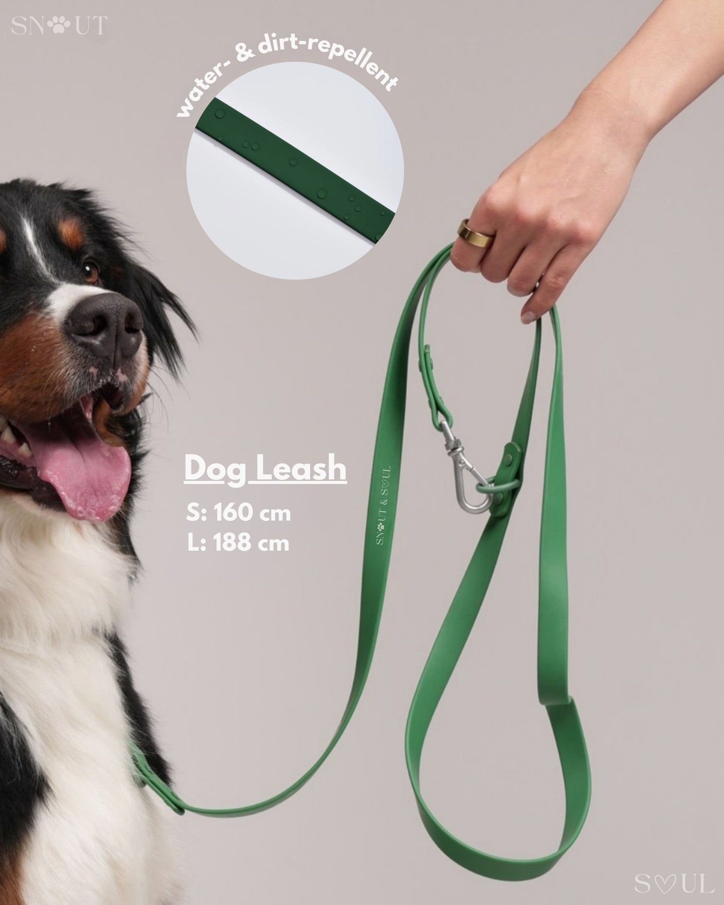 Leash
