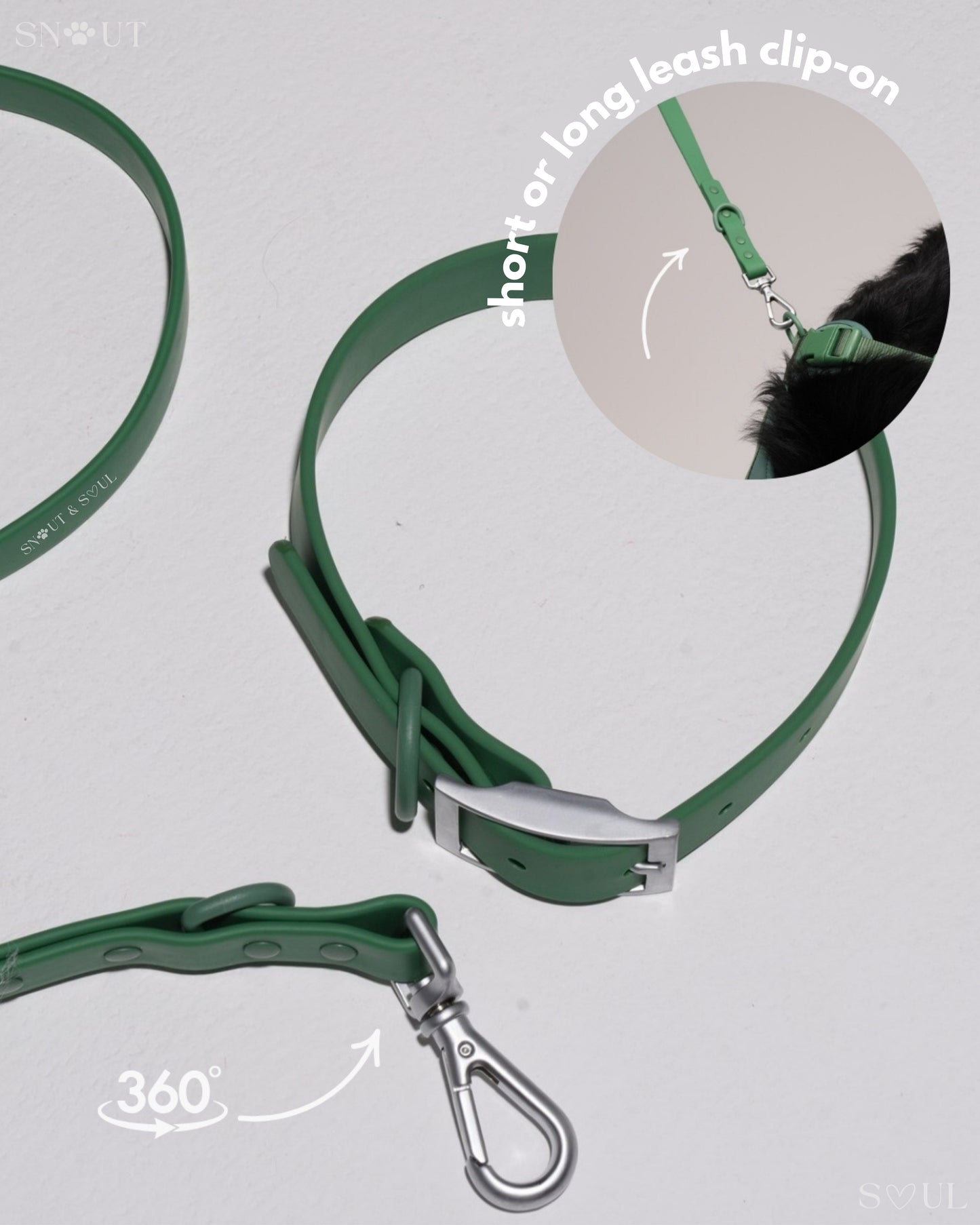 Leash