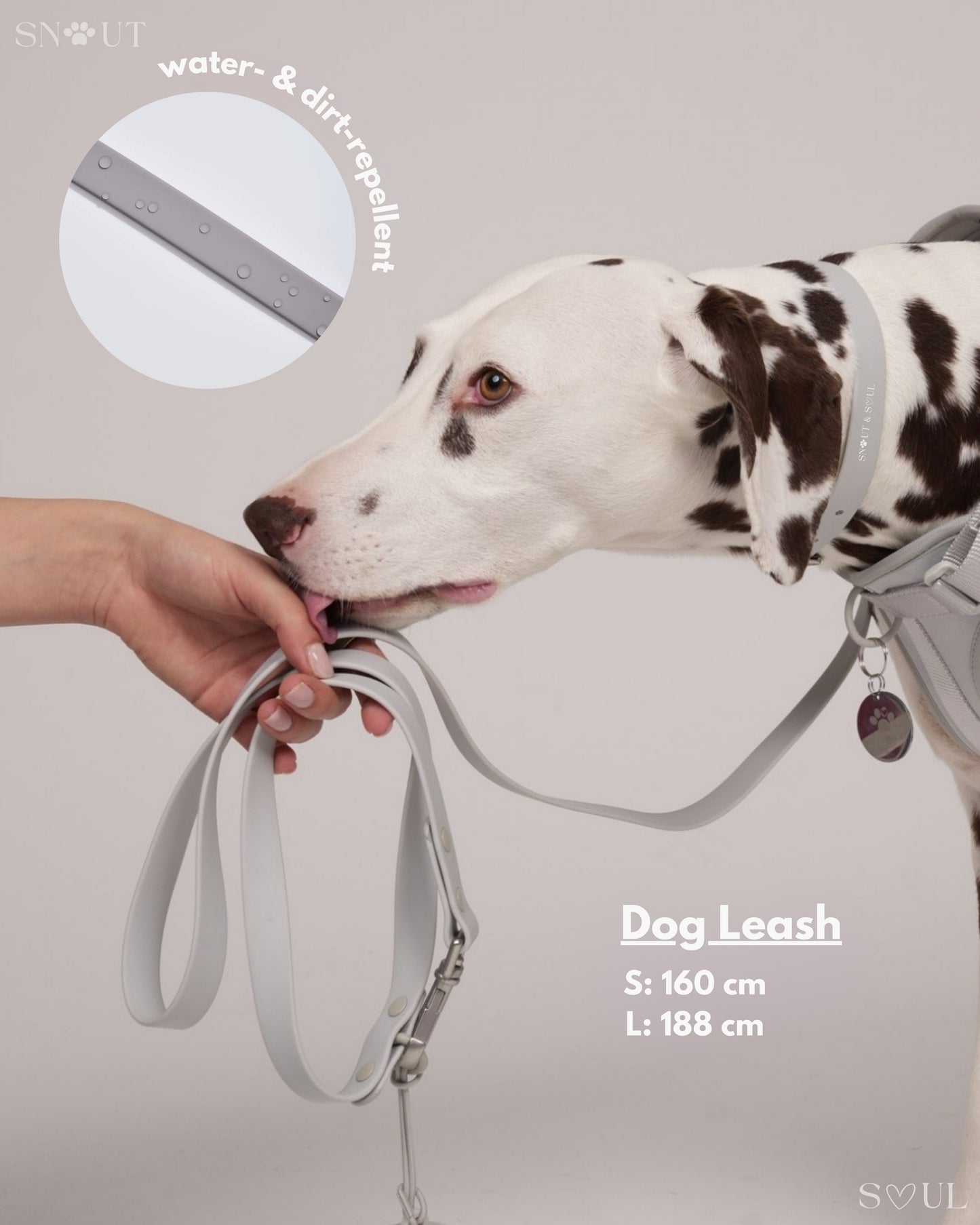 Leash