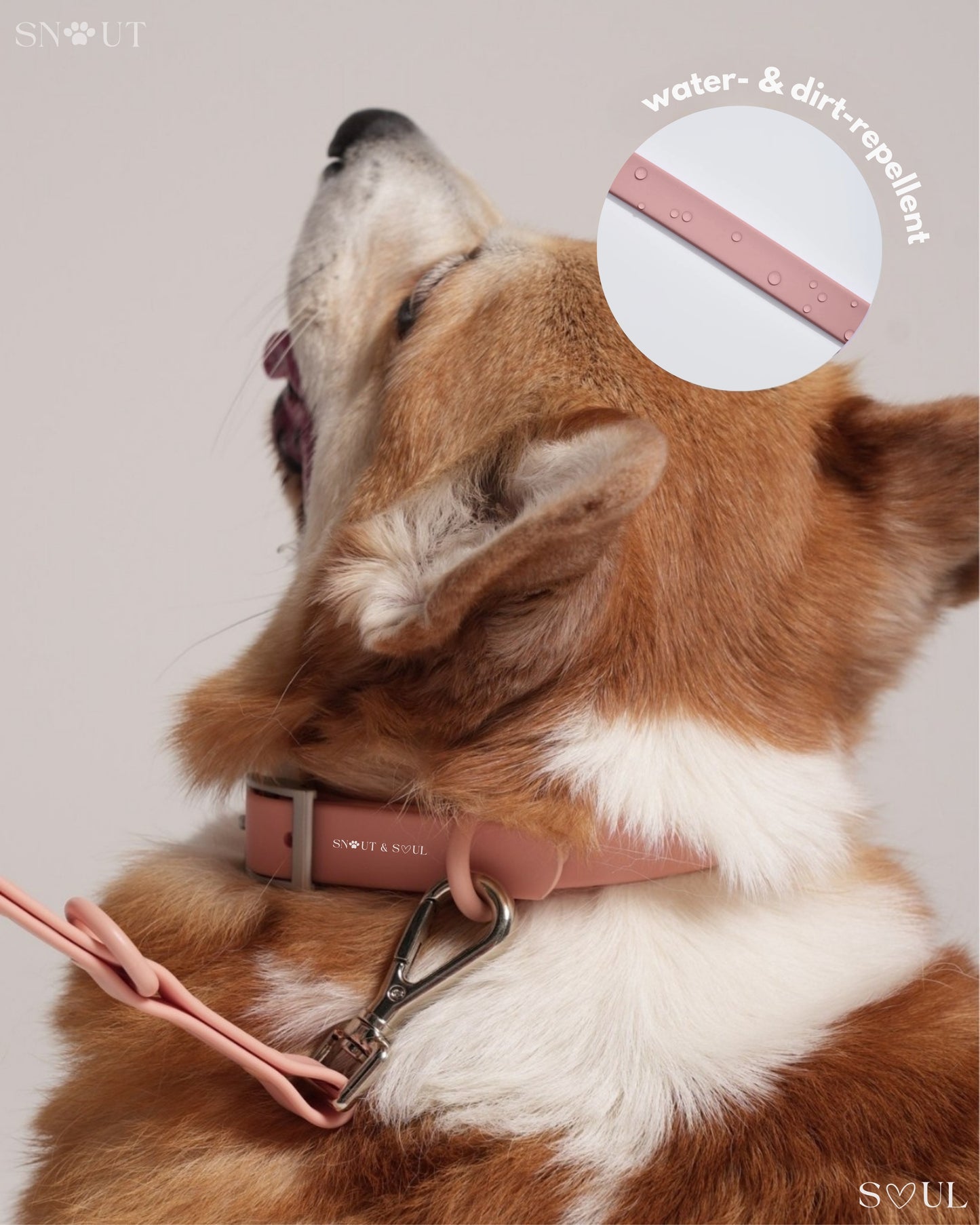 Collar