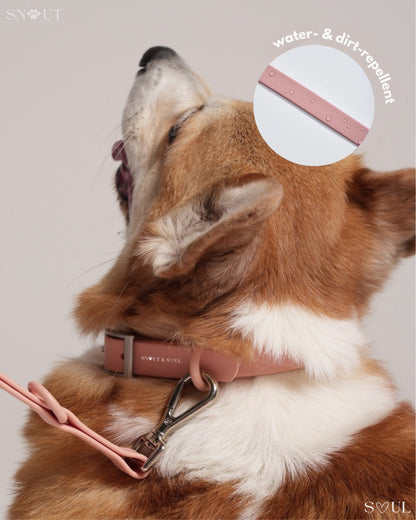 Collar