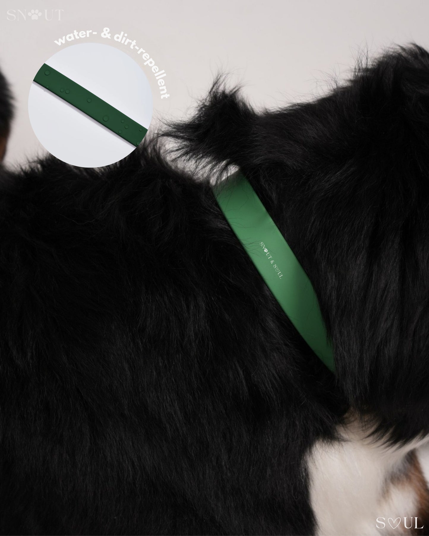Collar