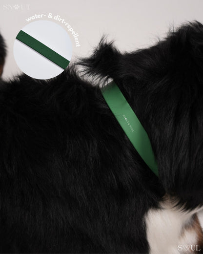Collar