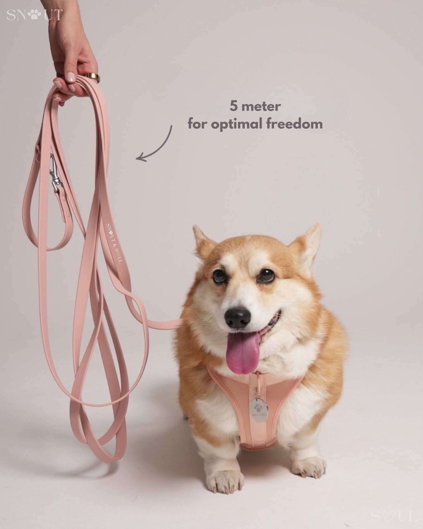 Long Leash