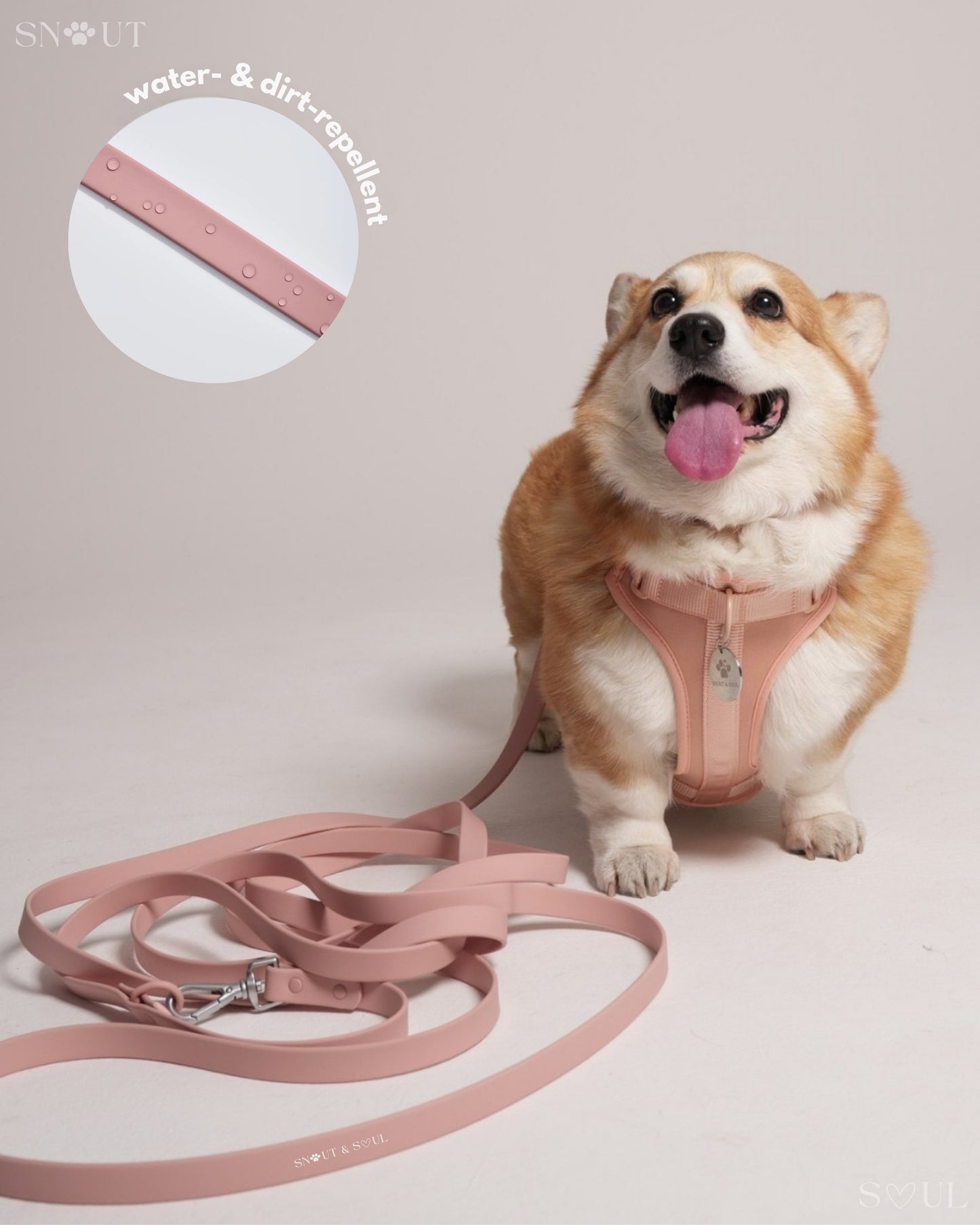 Long Leash
