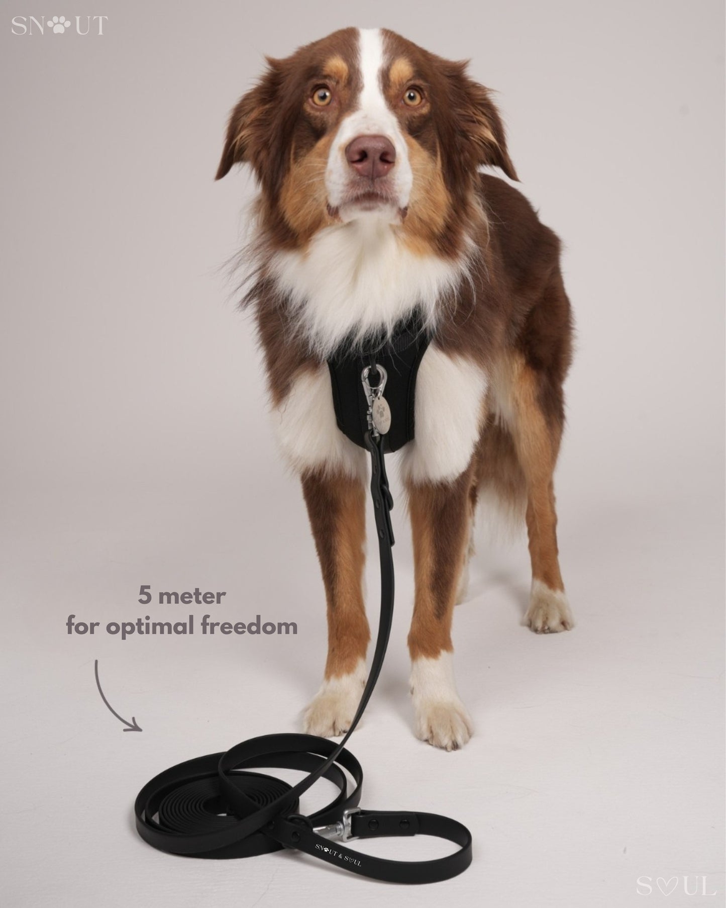 Long Leash