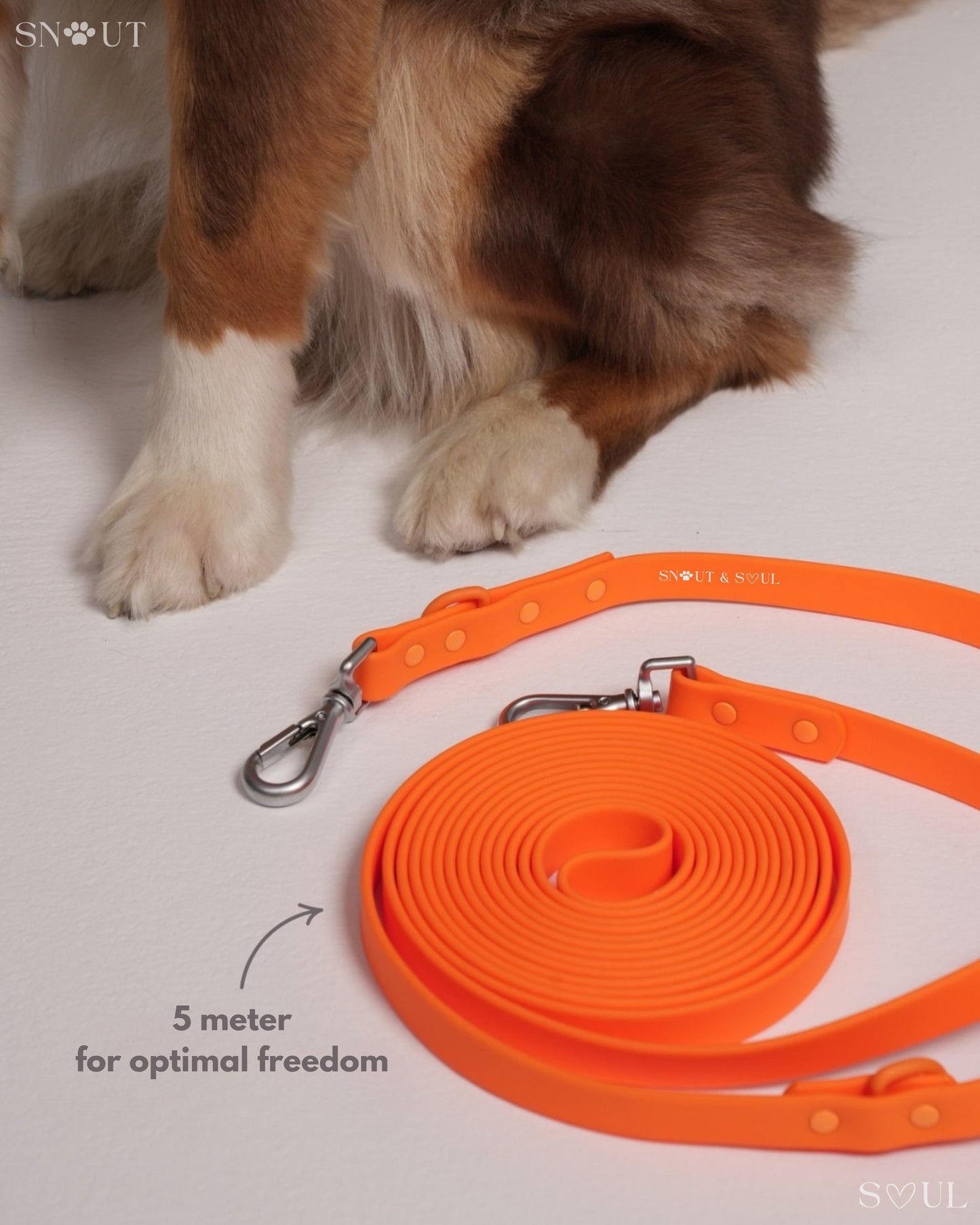 Long Leash