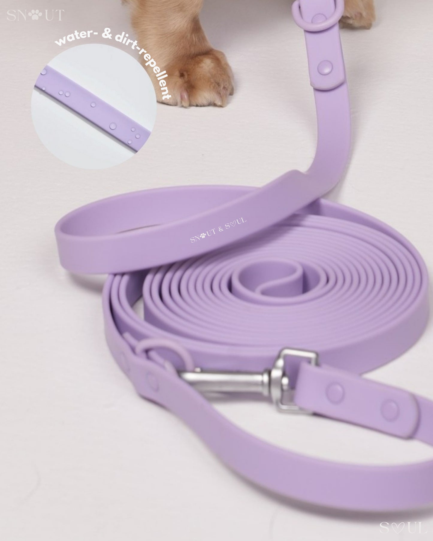 Long Leash