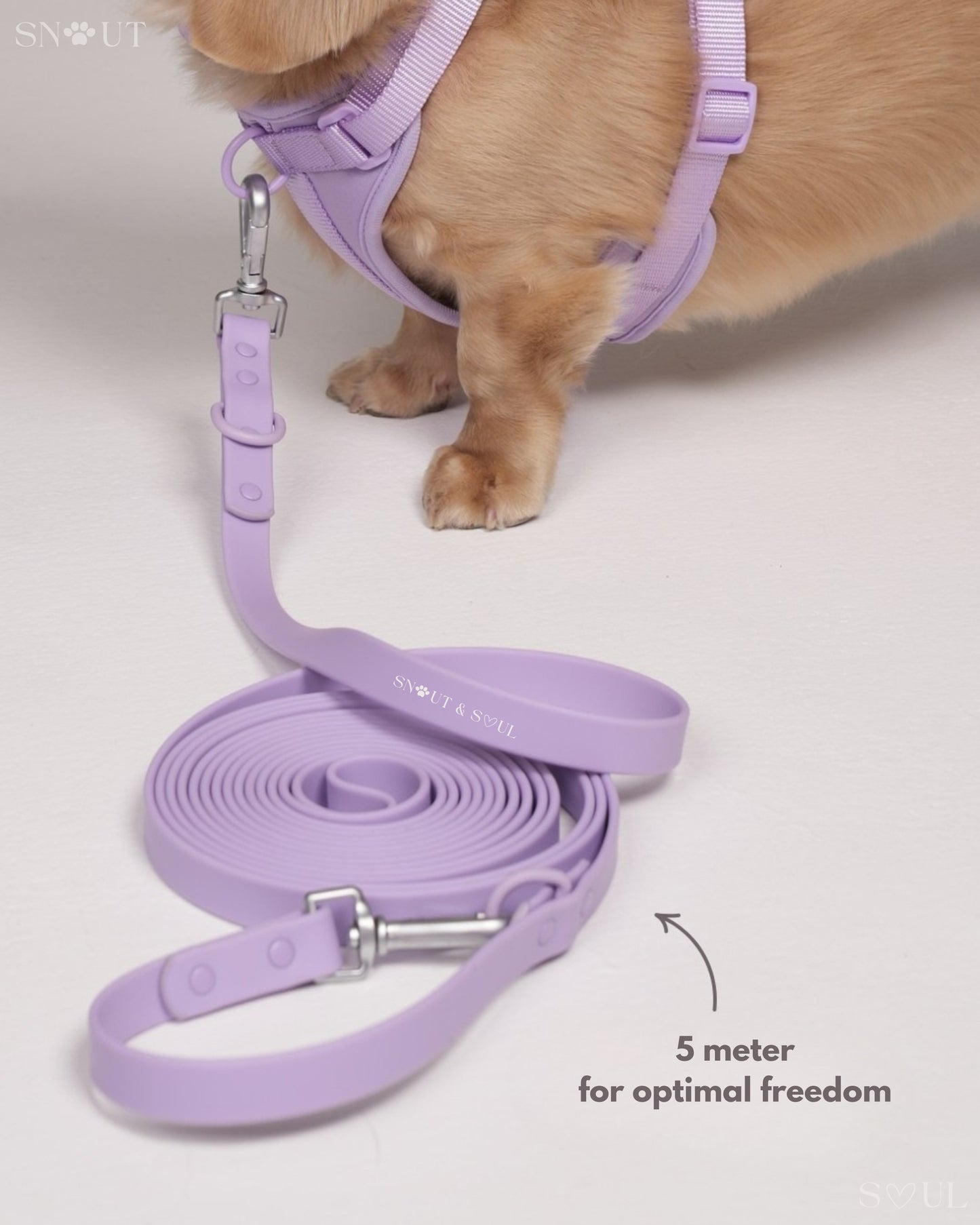 Long Leash