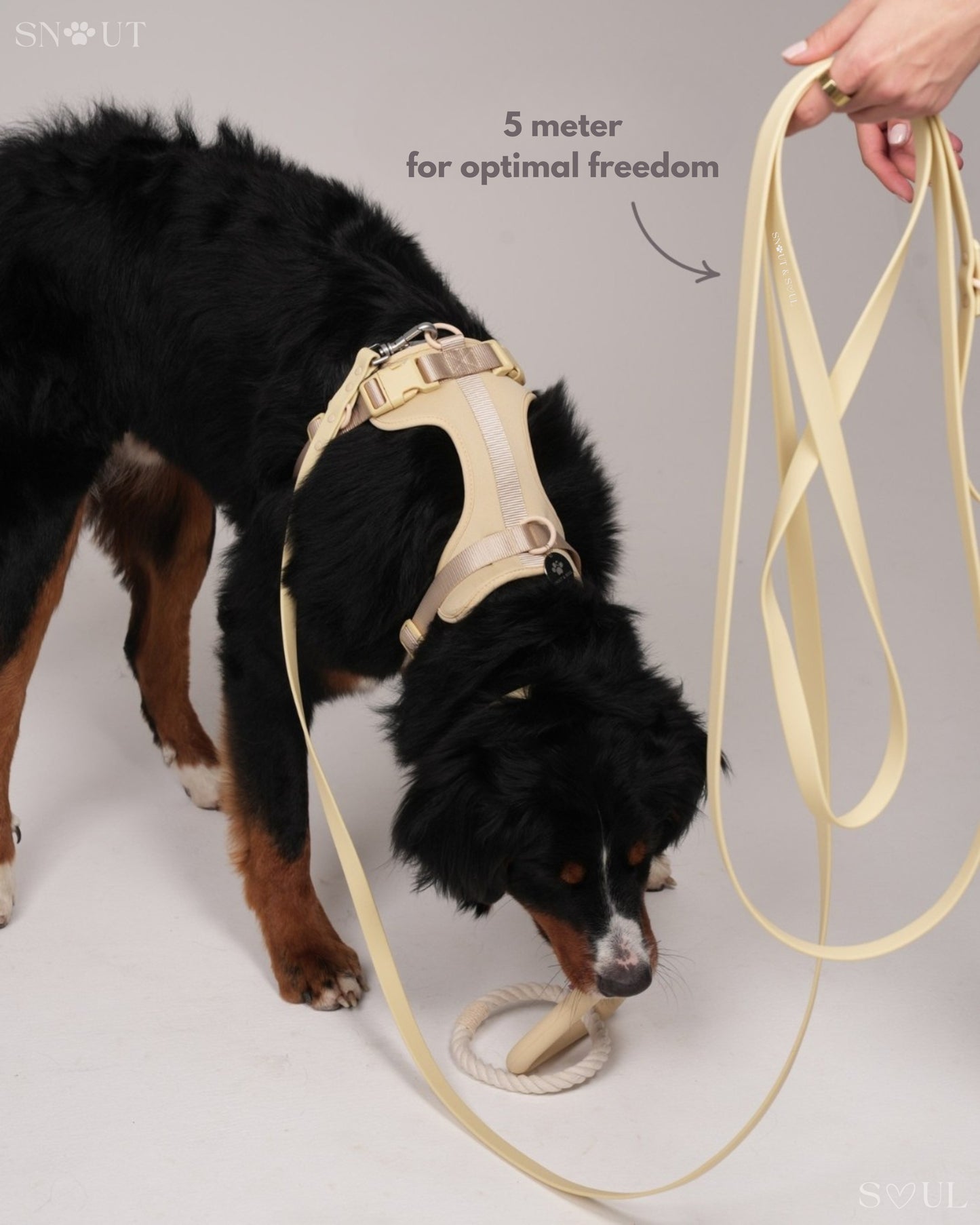 Long Leash