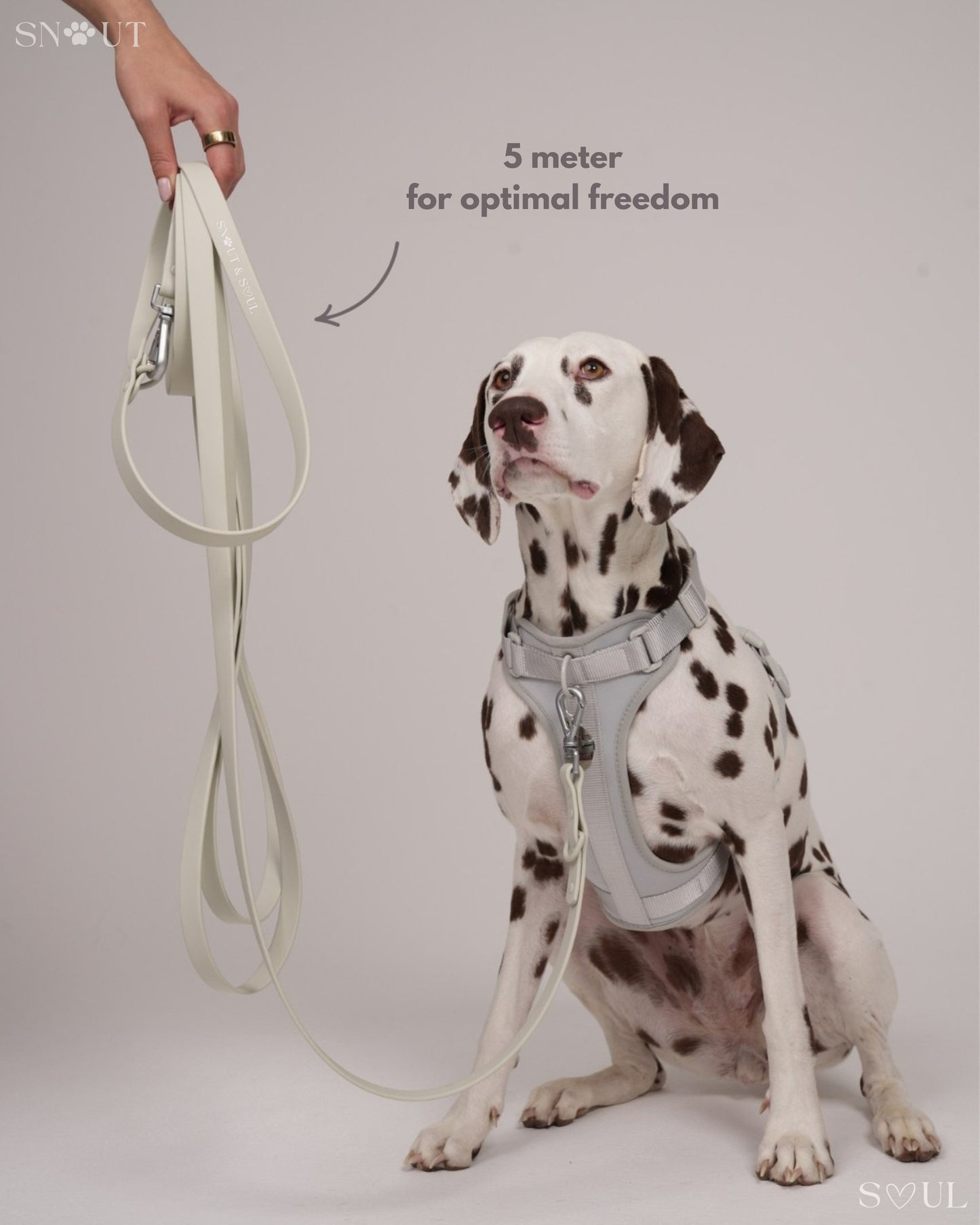 Long Leash