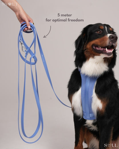 Long Leash