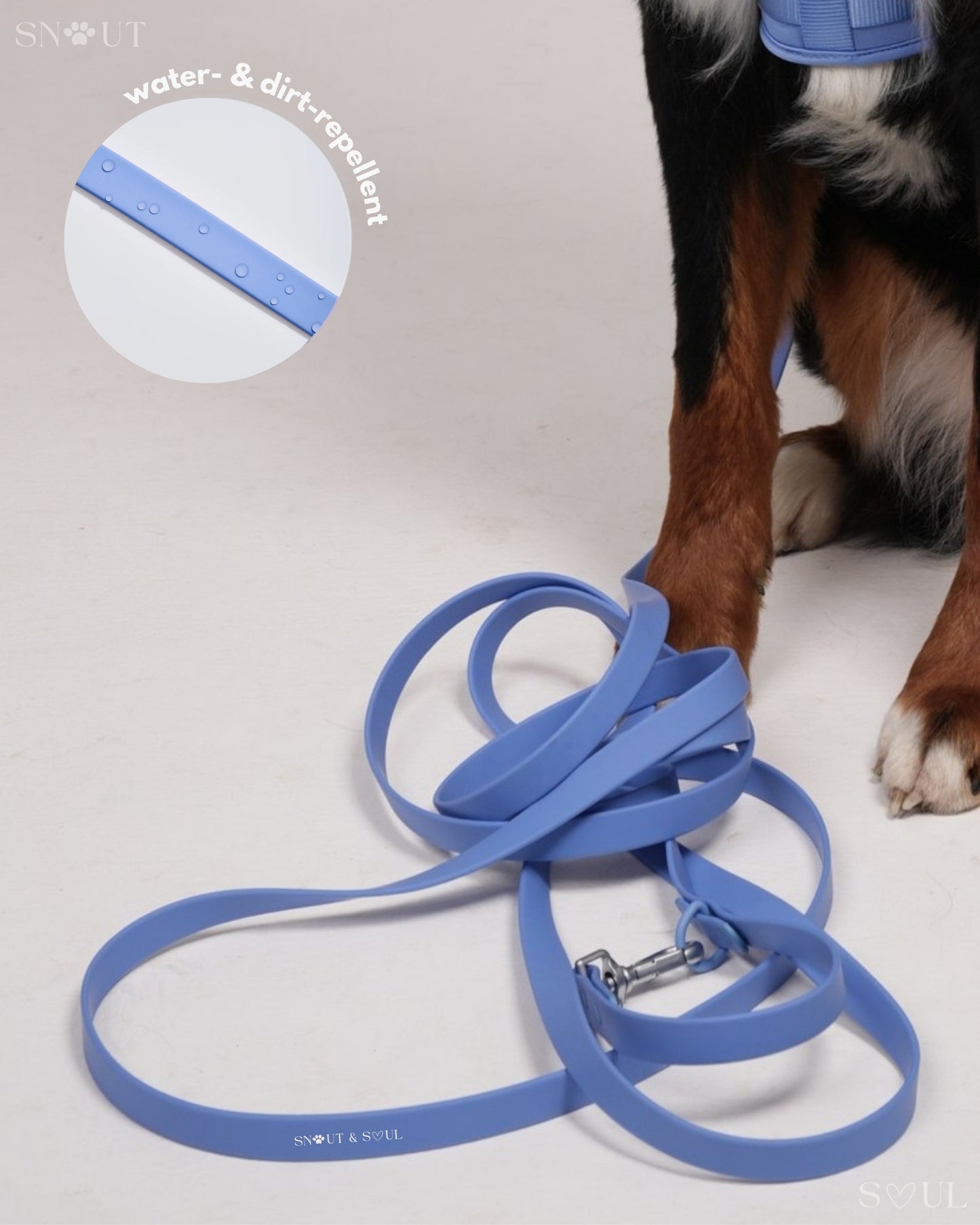 Long Leash