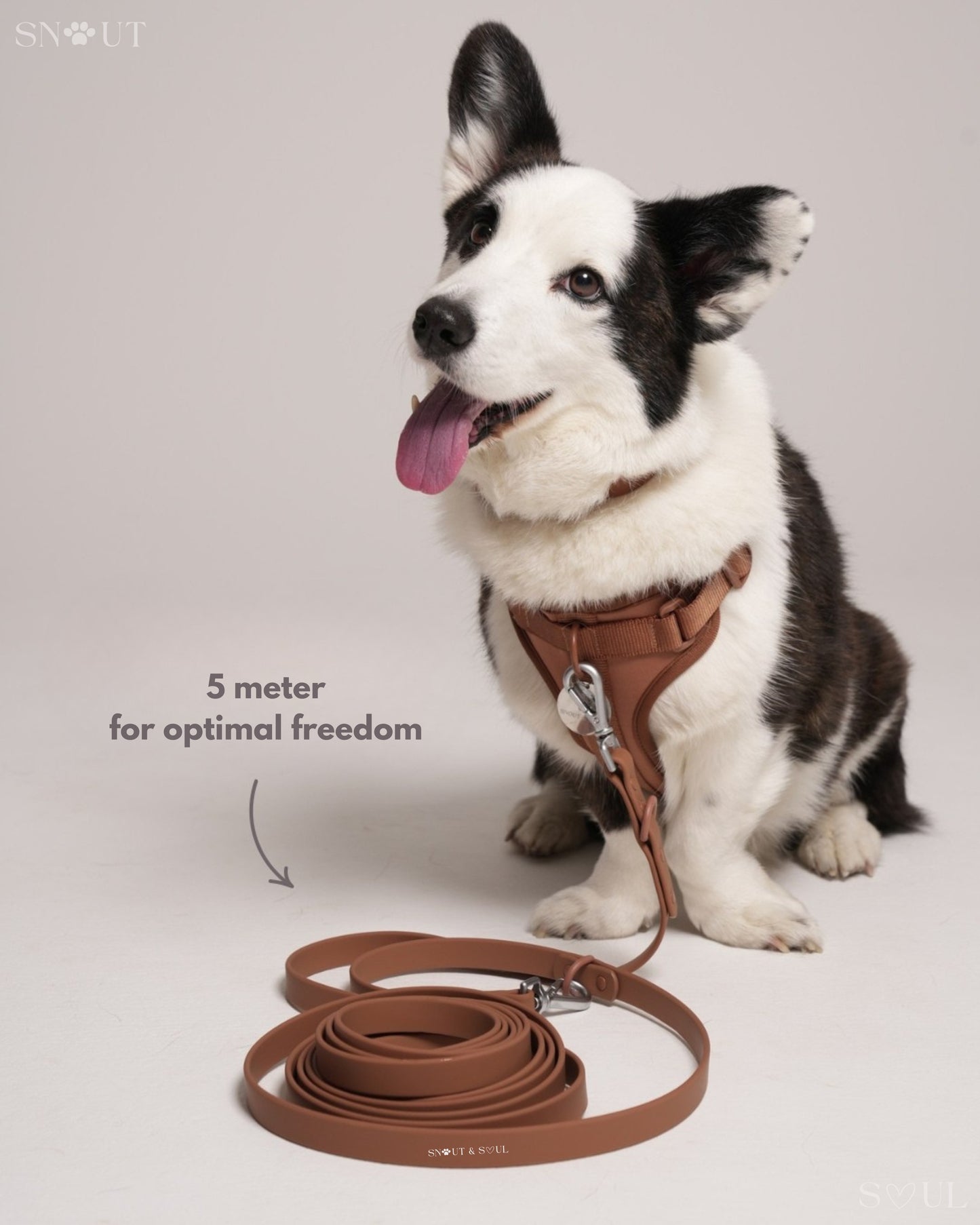 Long Leash