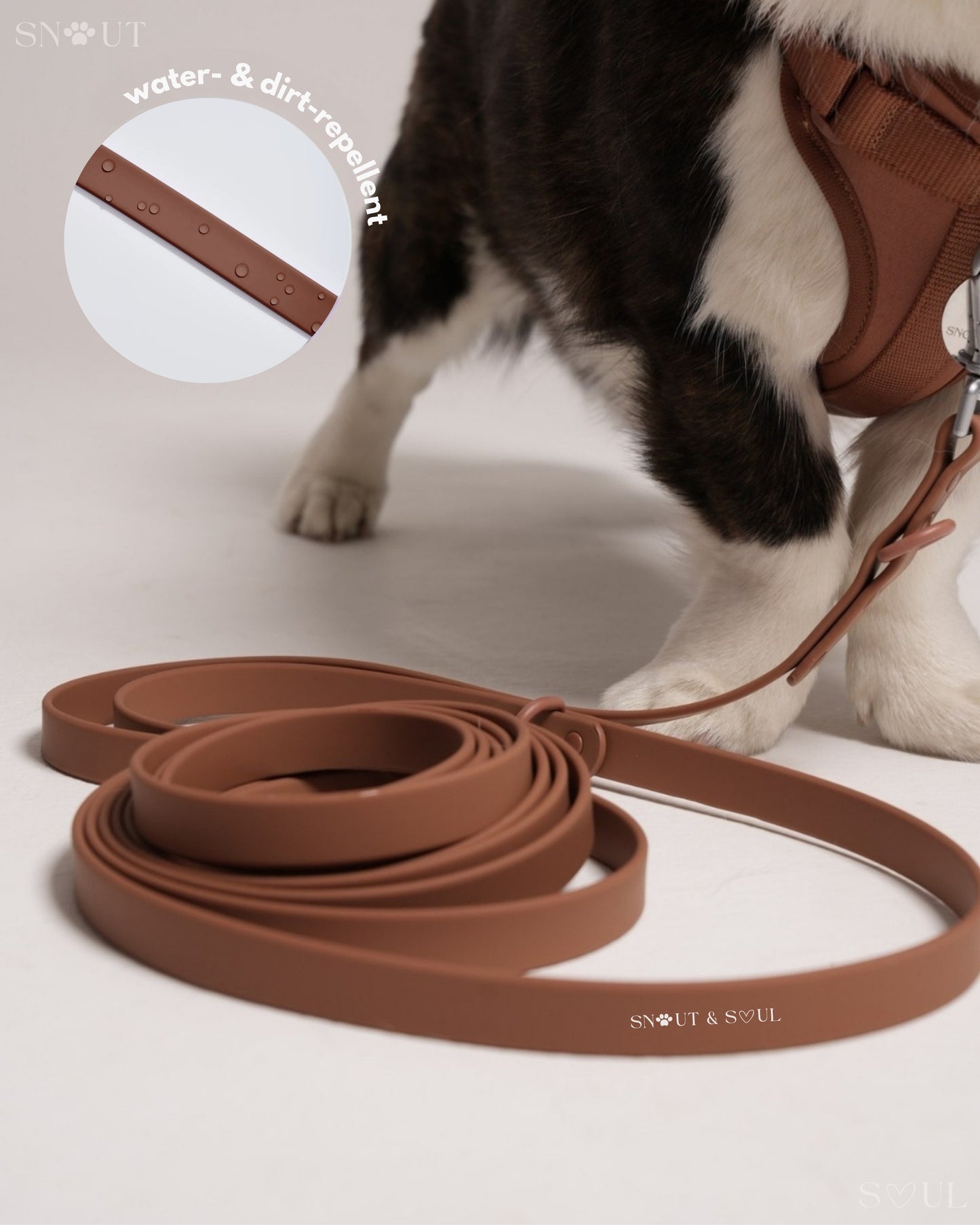 Long Leash