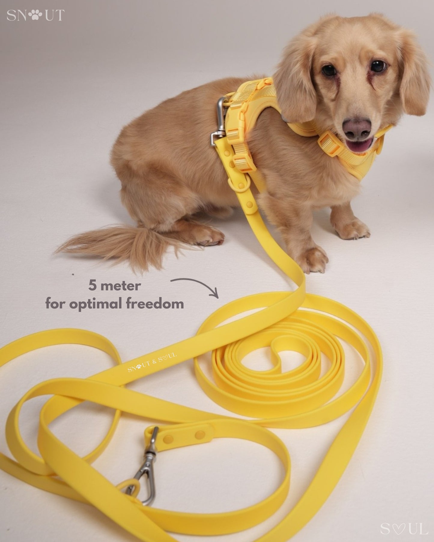 Long Leash