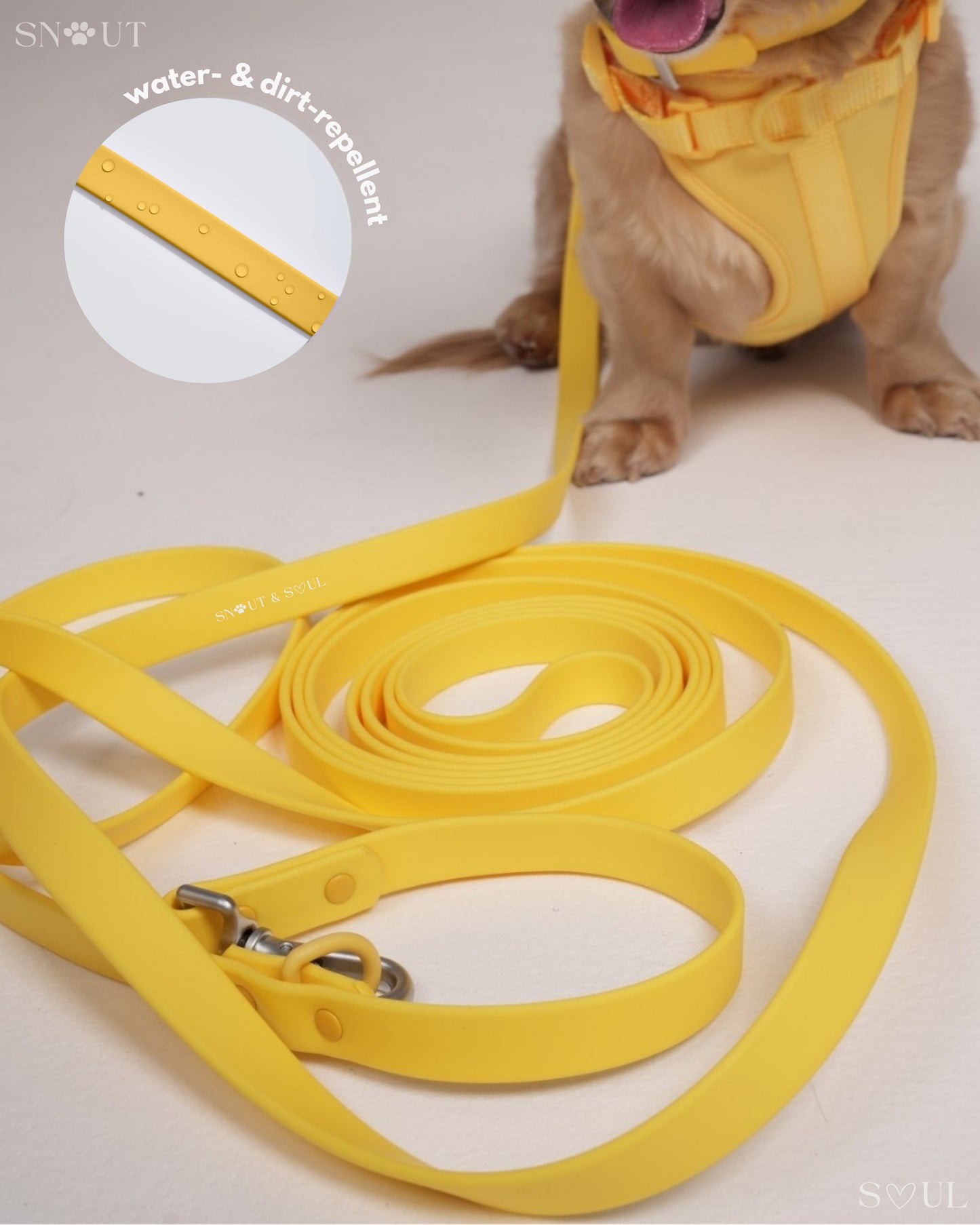 Long Leash