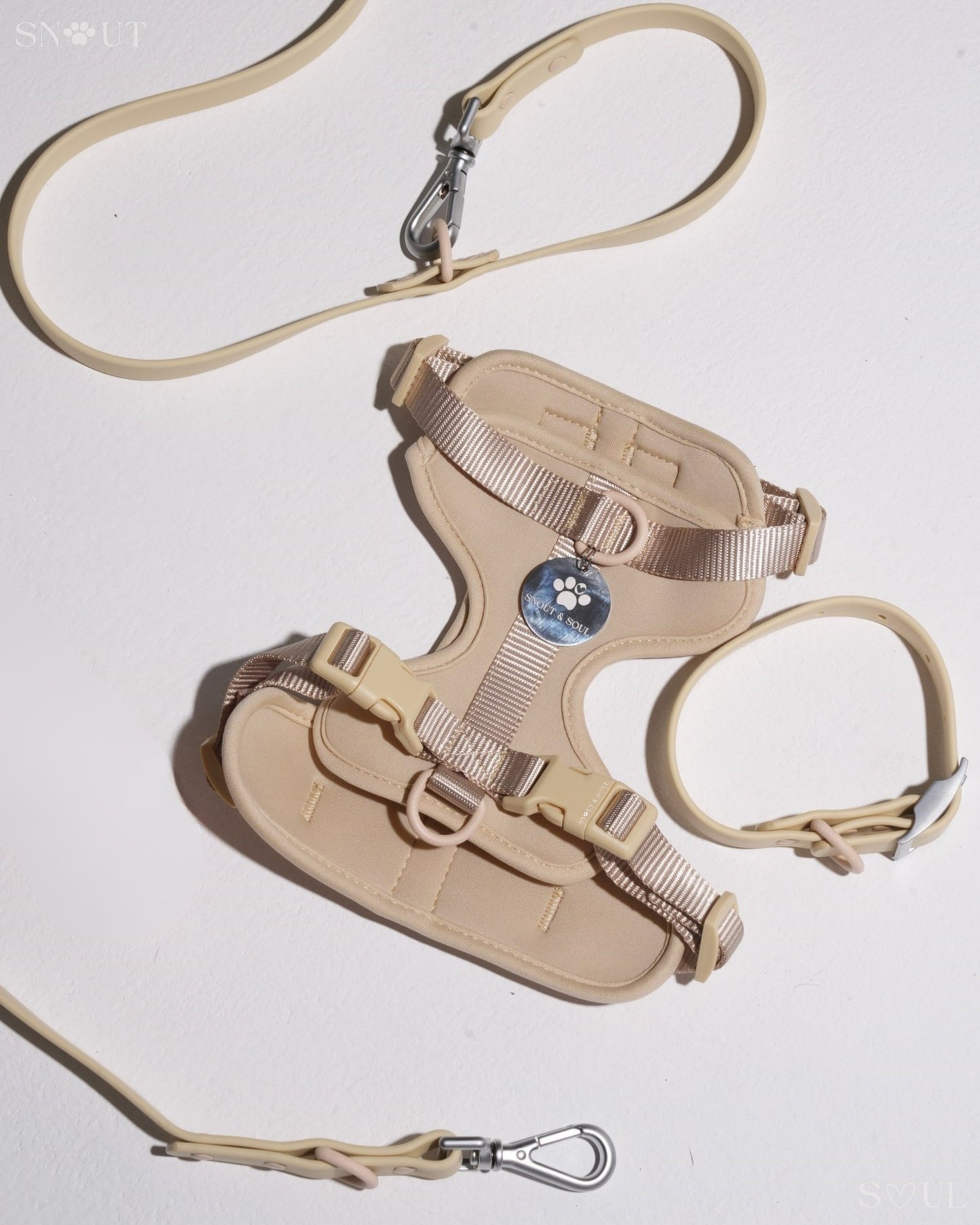 Harness Walk Set