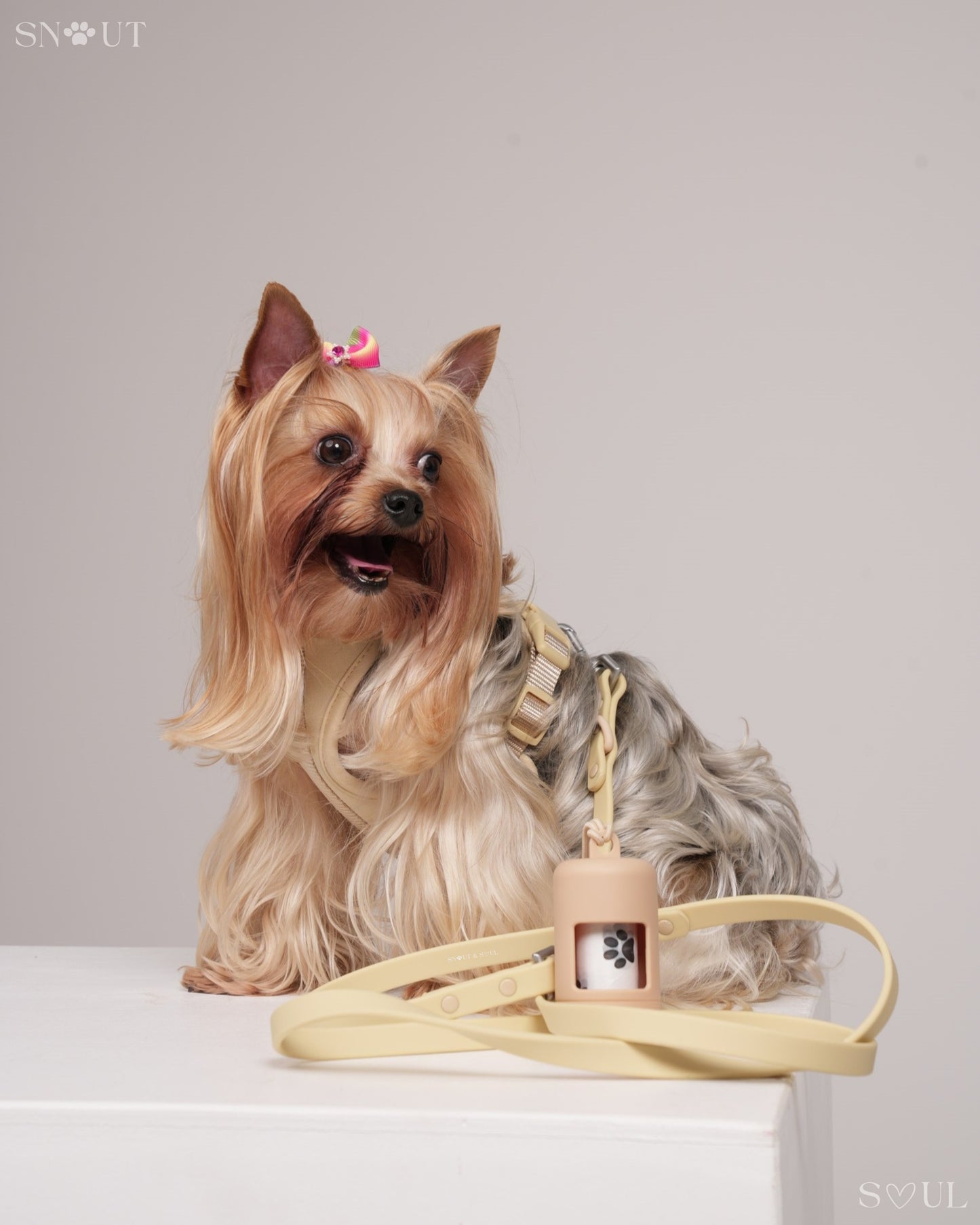 Harness Walk Set