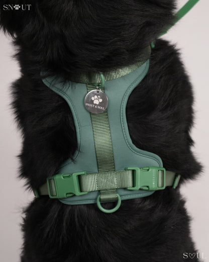 Harness