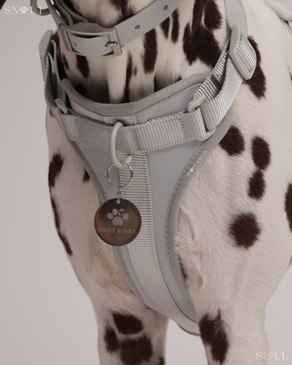 Harness