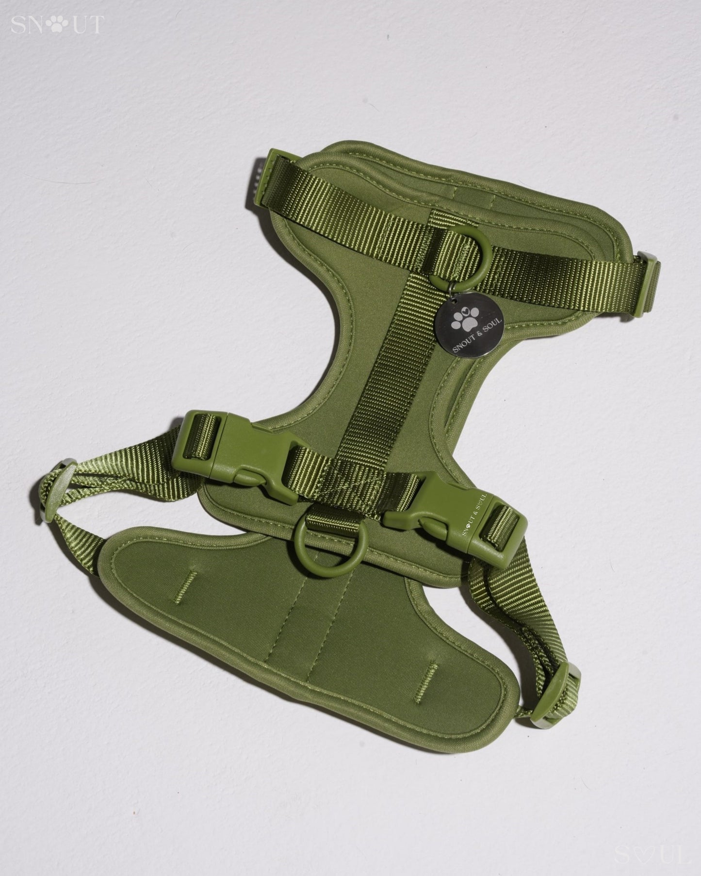 Harness