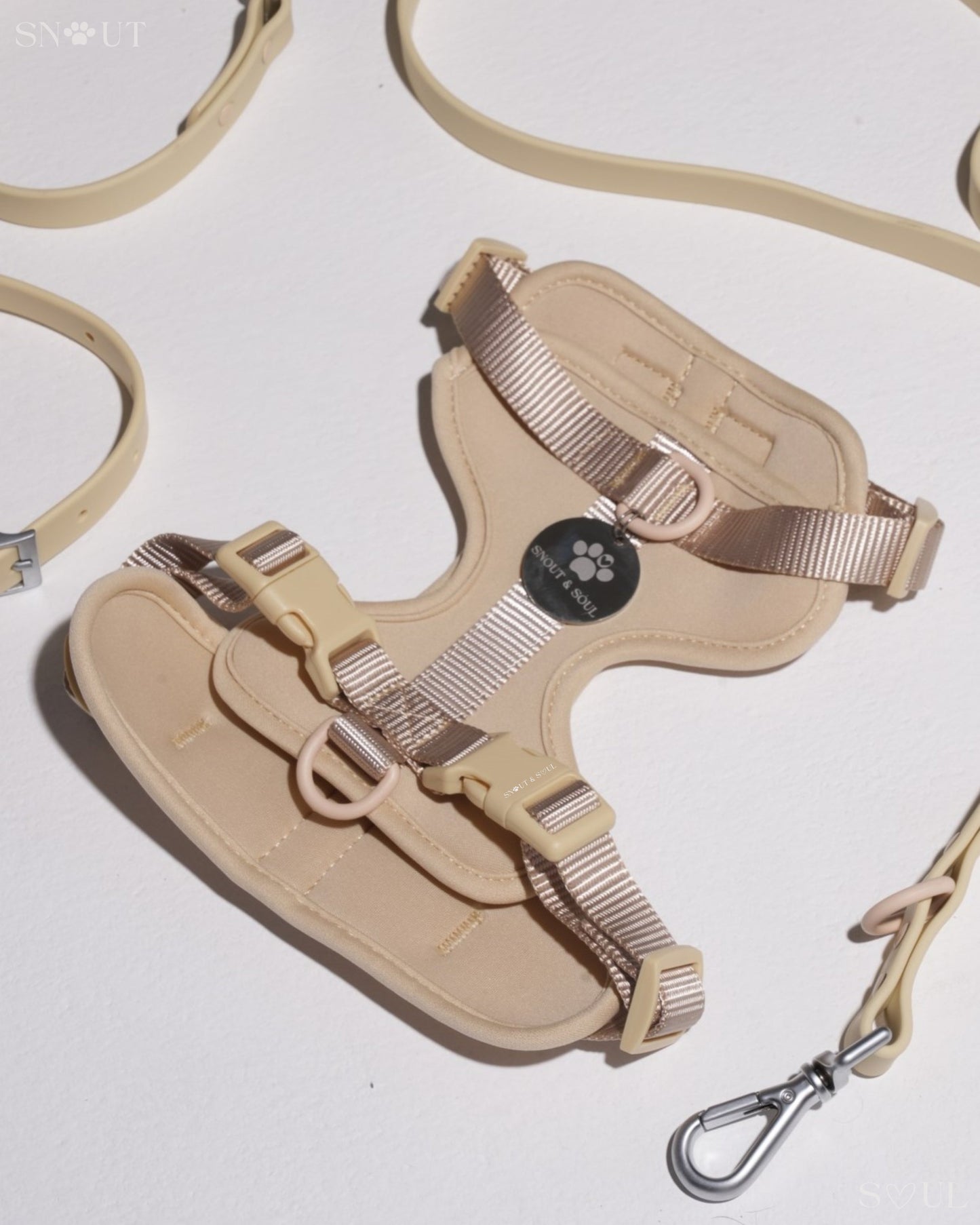 Harness