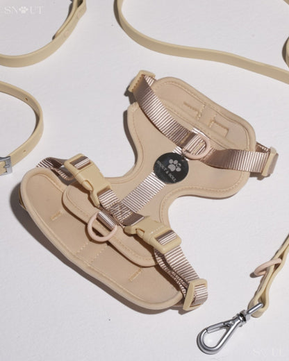 Harness