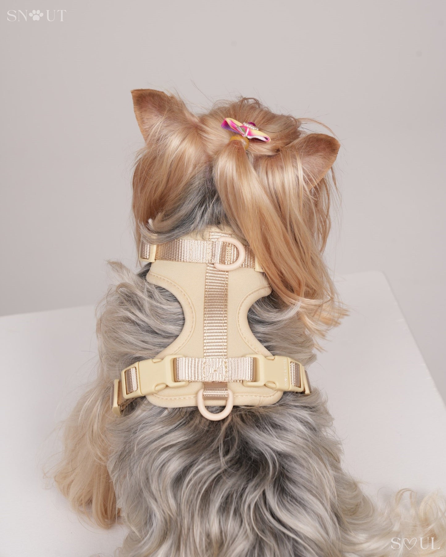 Harness