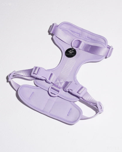 Harness