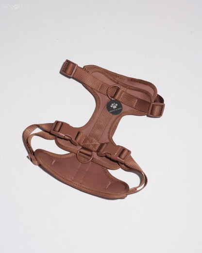 Harness