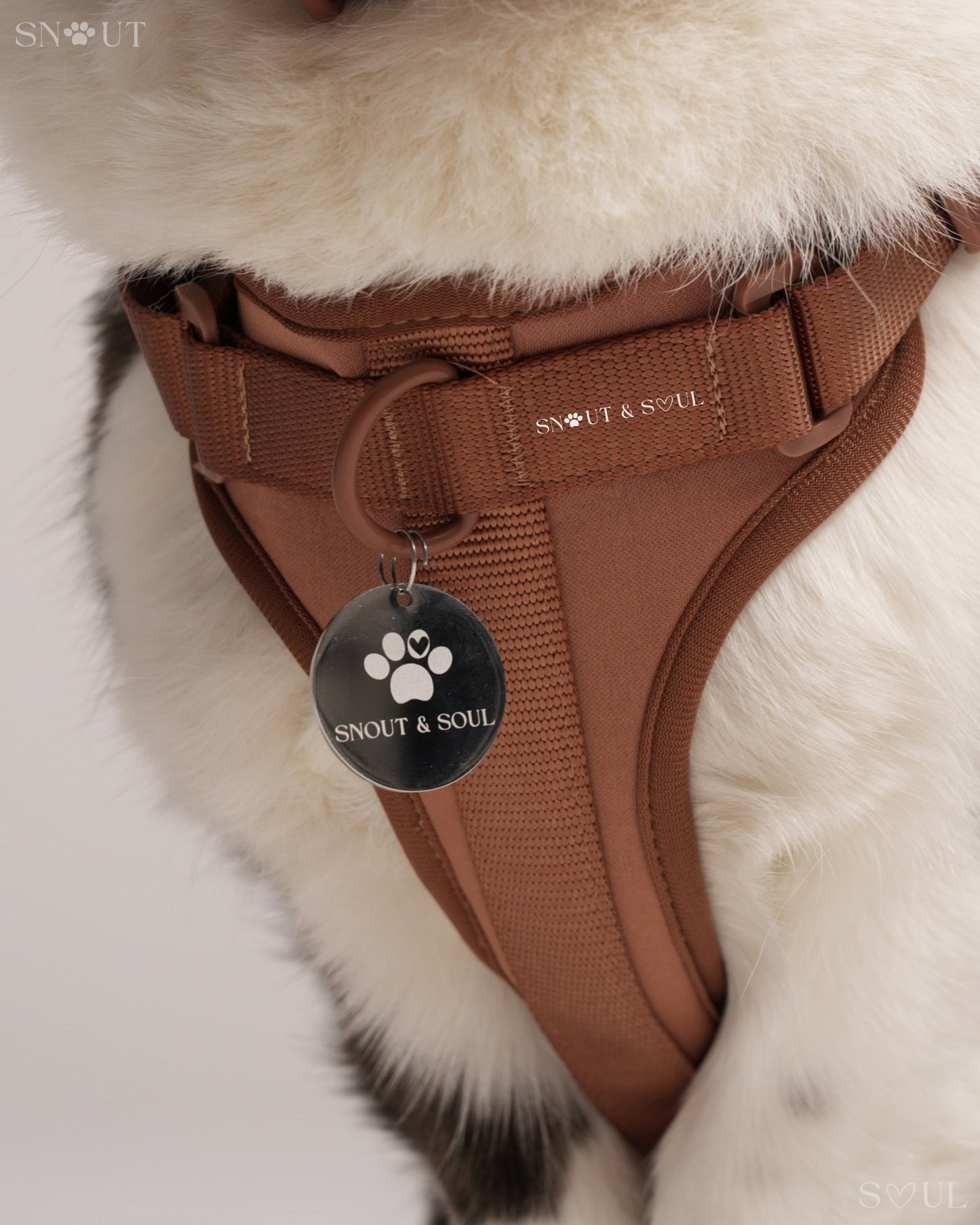 Harness