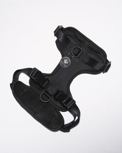 Harness