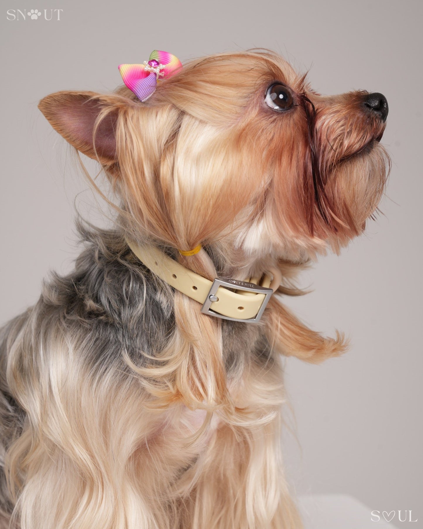 Collar