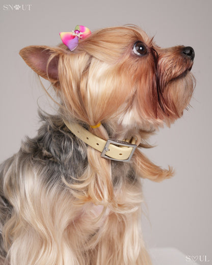 Collar