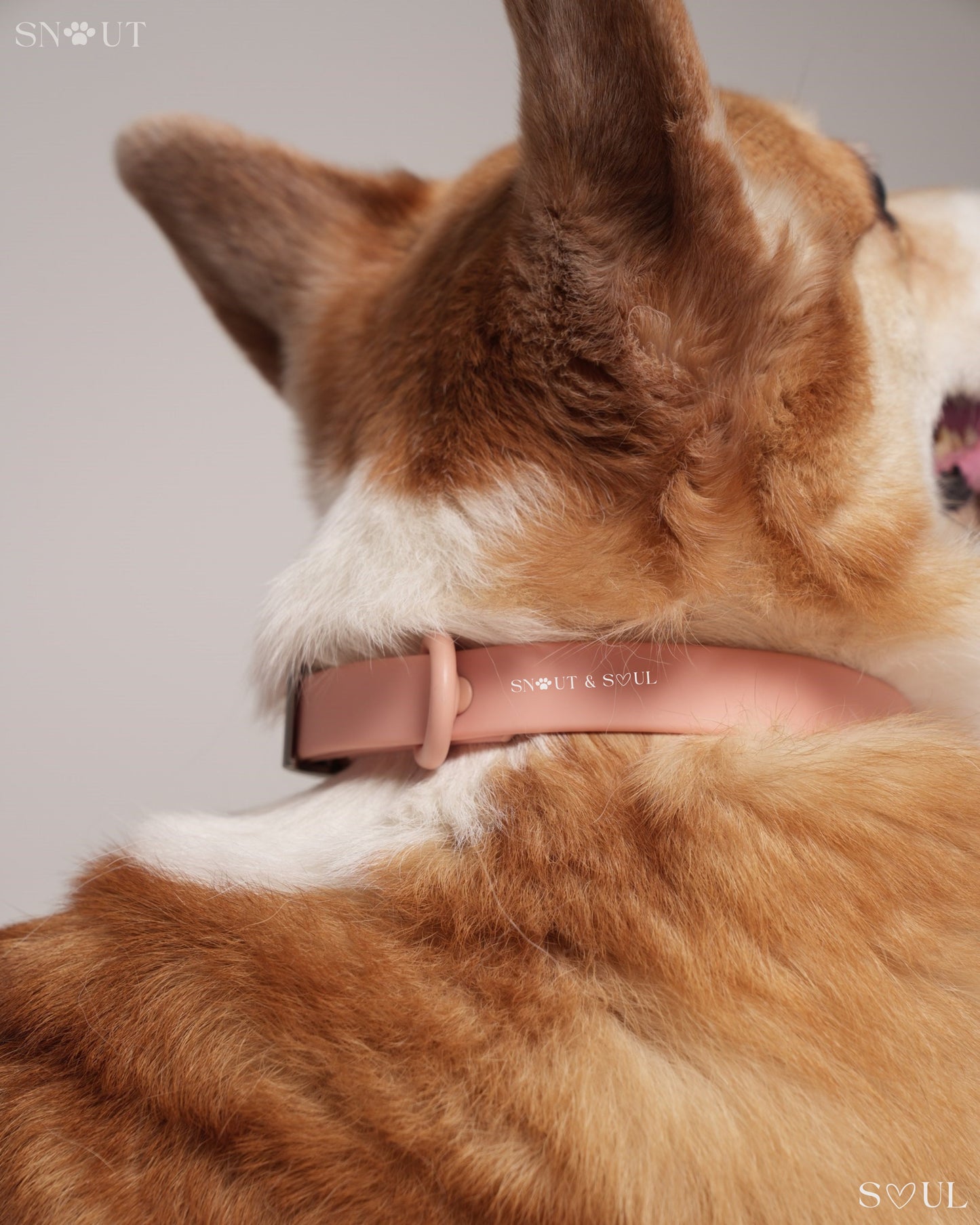 Collar