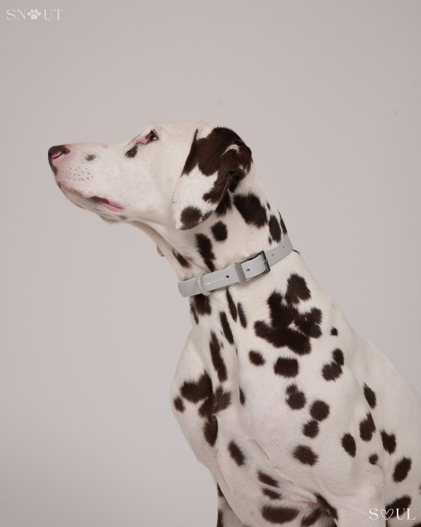 Collar