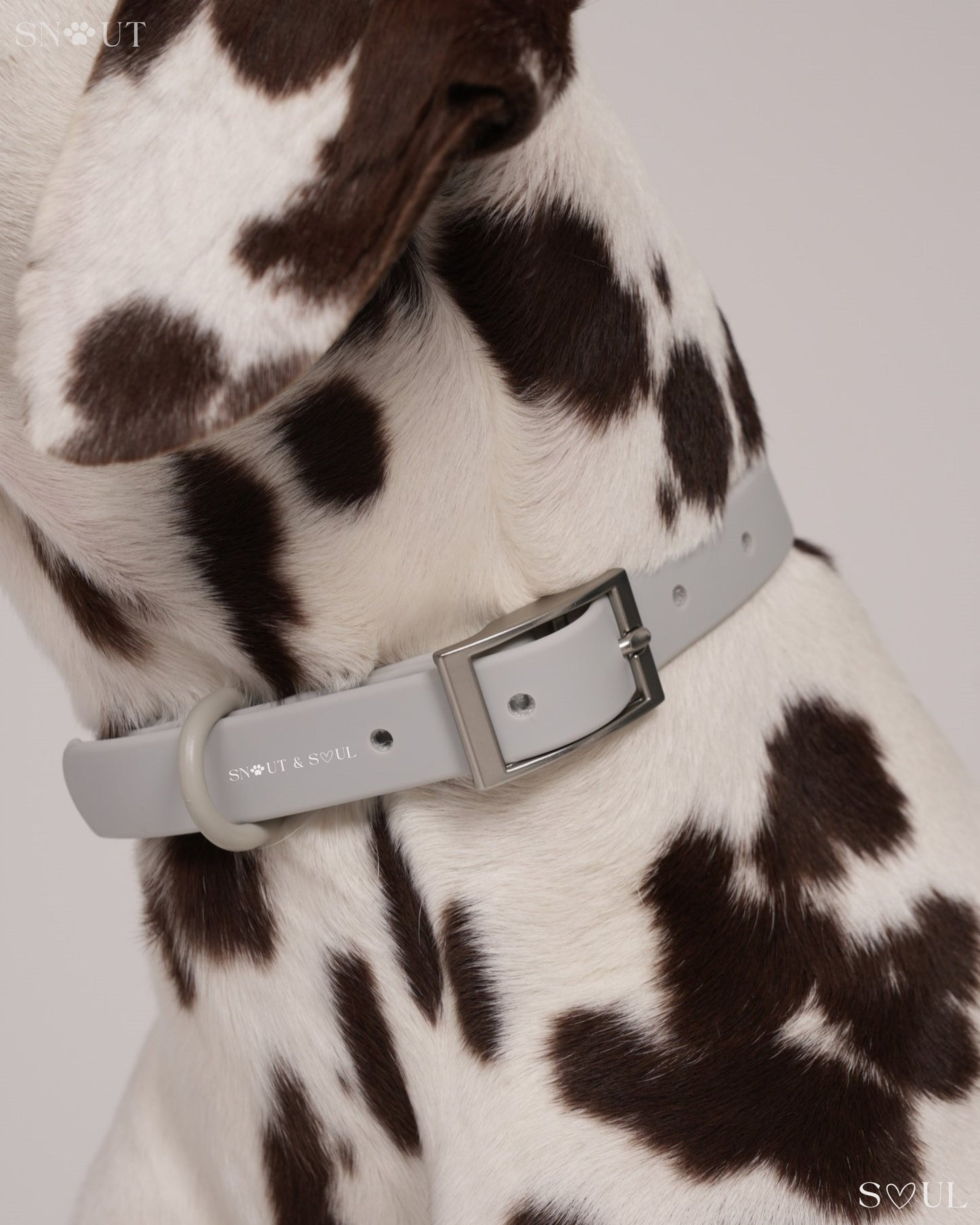 Collar