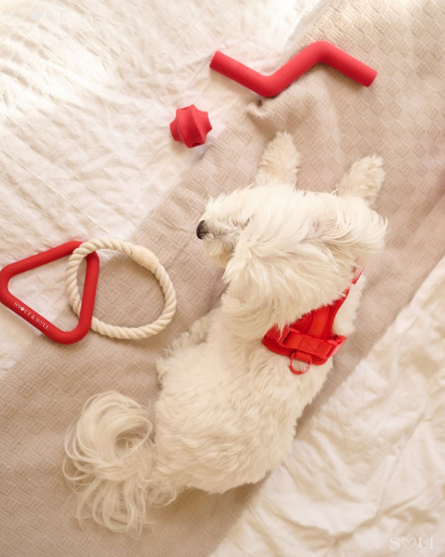 Walk & Play Set