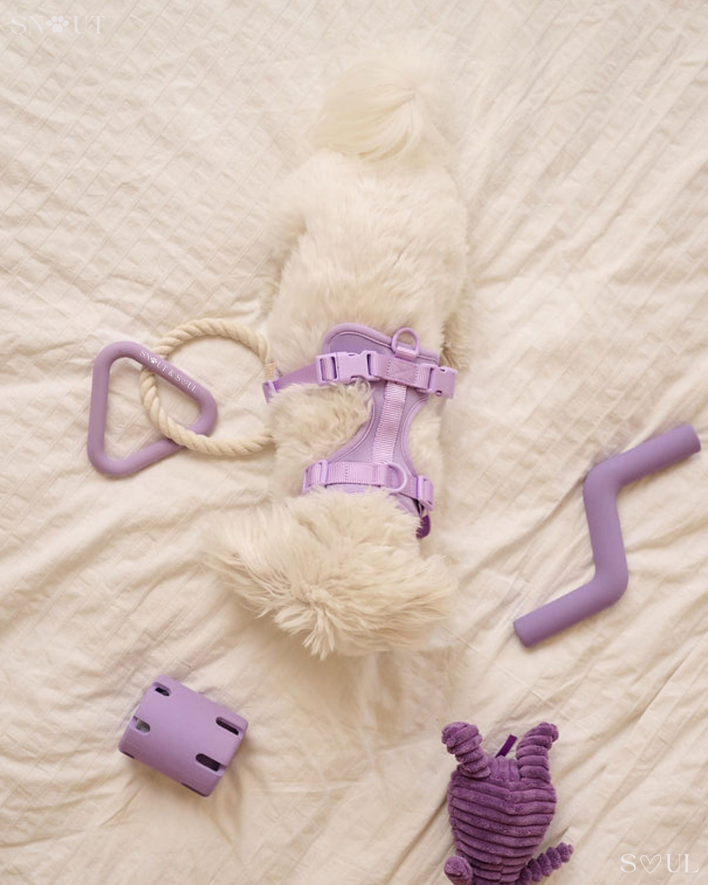 Walk & Play Set