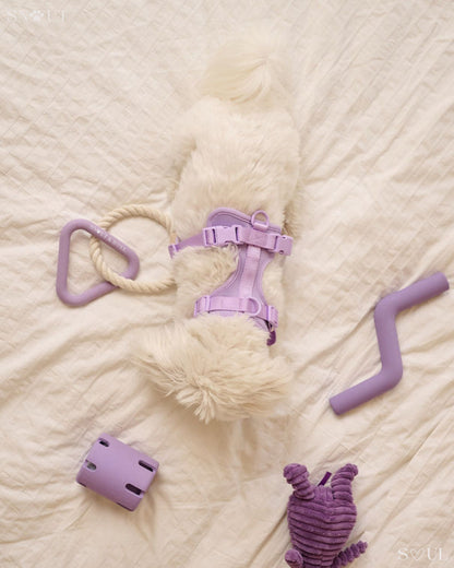 Walk & Play Set