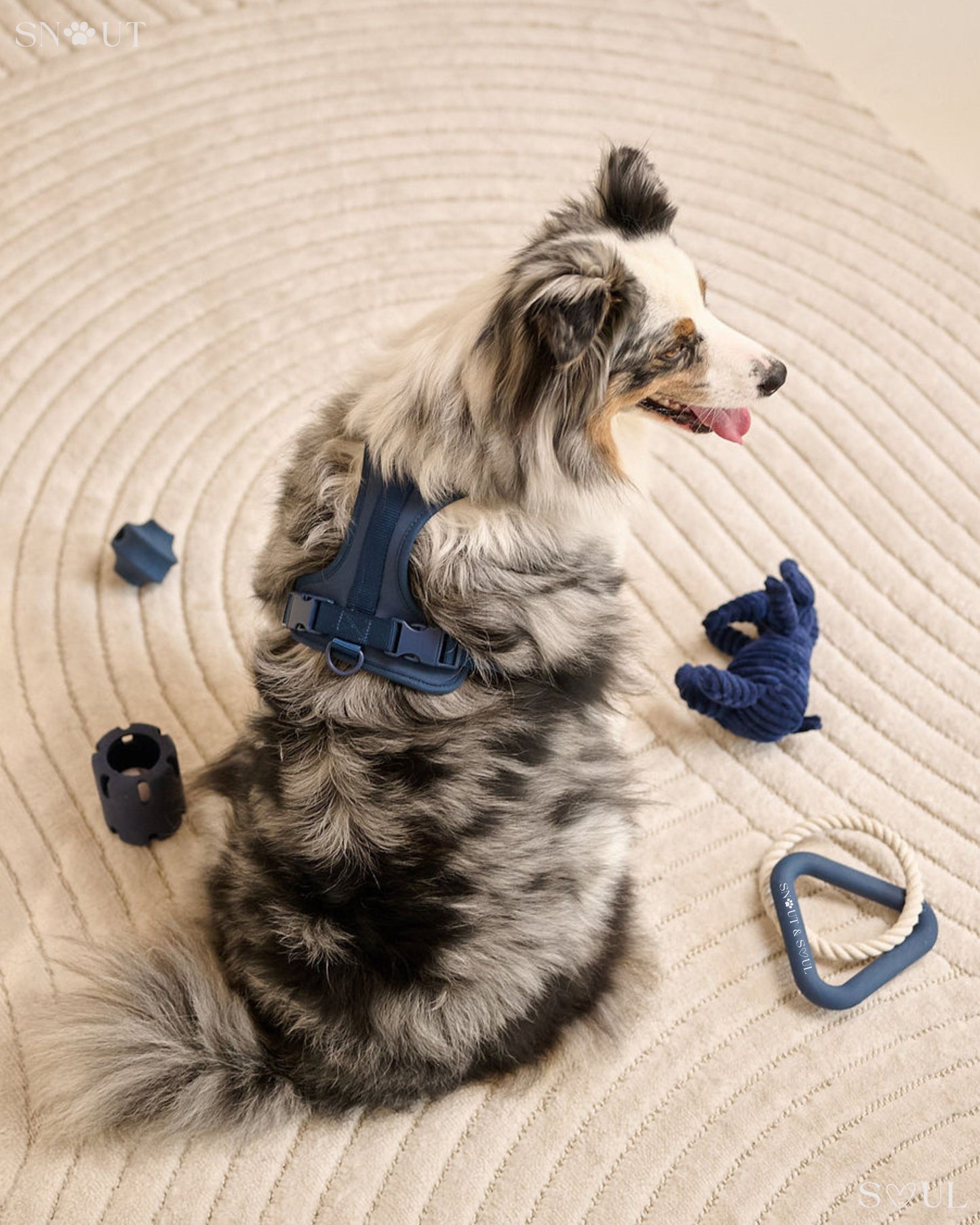 Walk & Play Set
