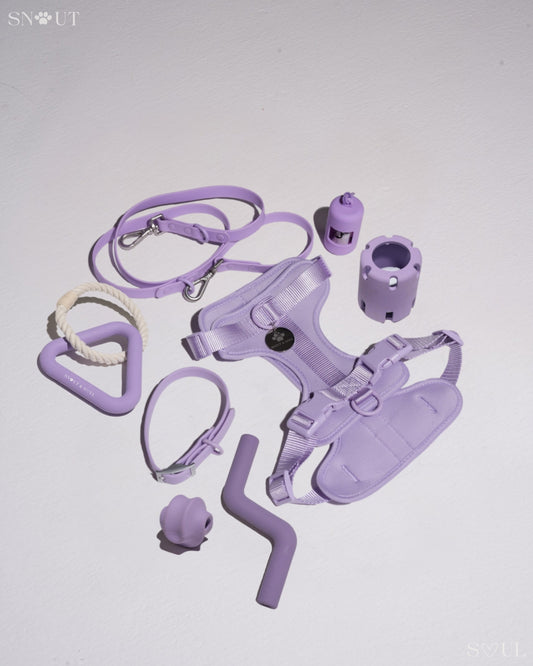 Walk & Play Set
