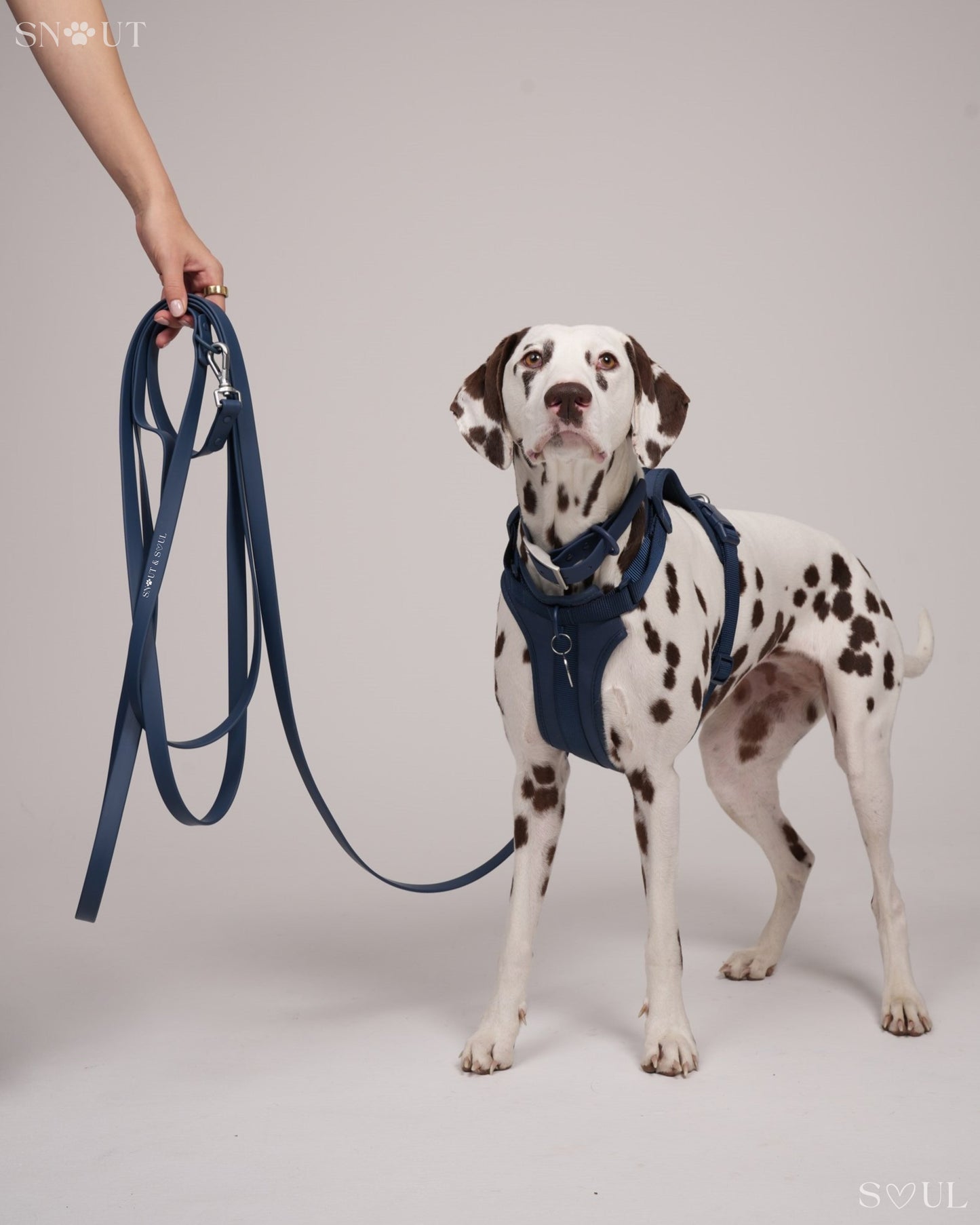 Long Leash
