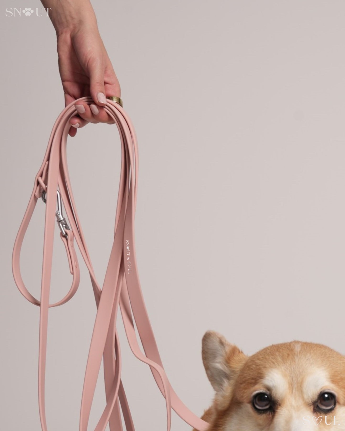 Long Leash