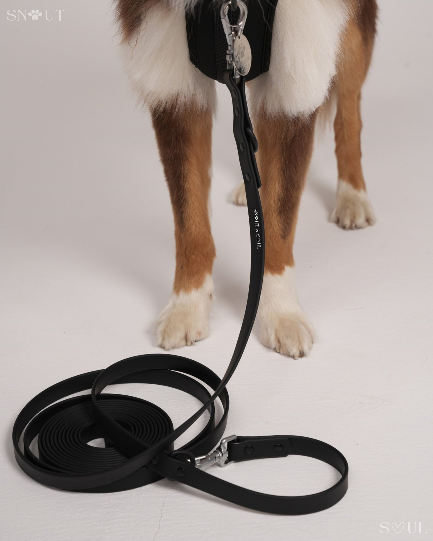 Long Leash