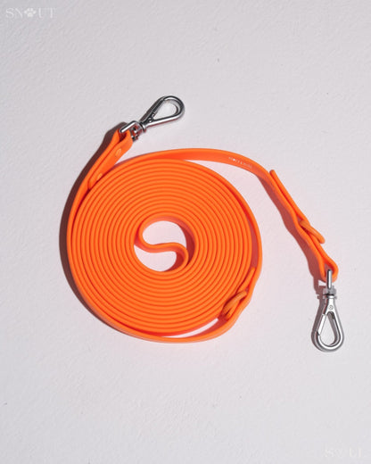 Long Leash