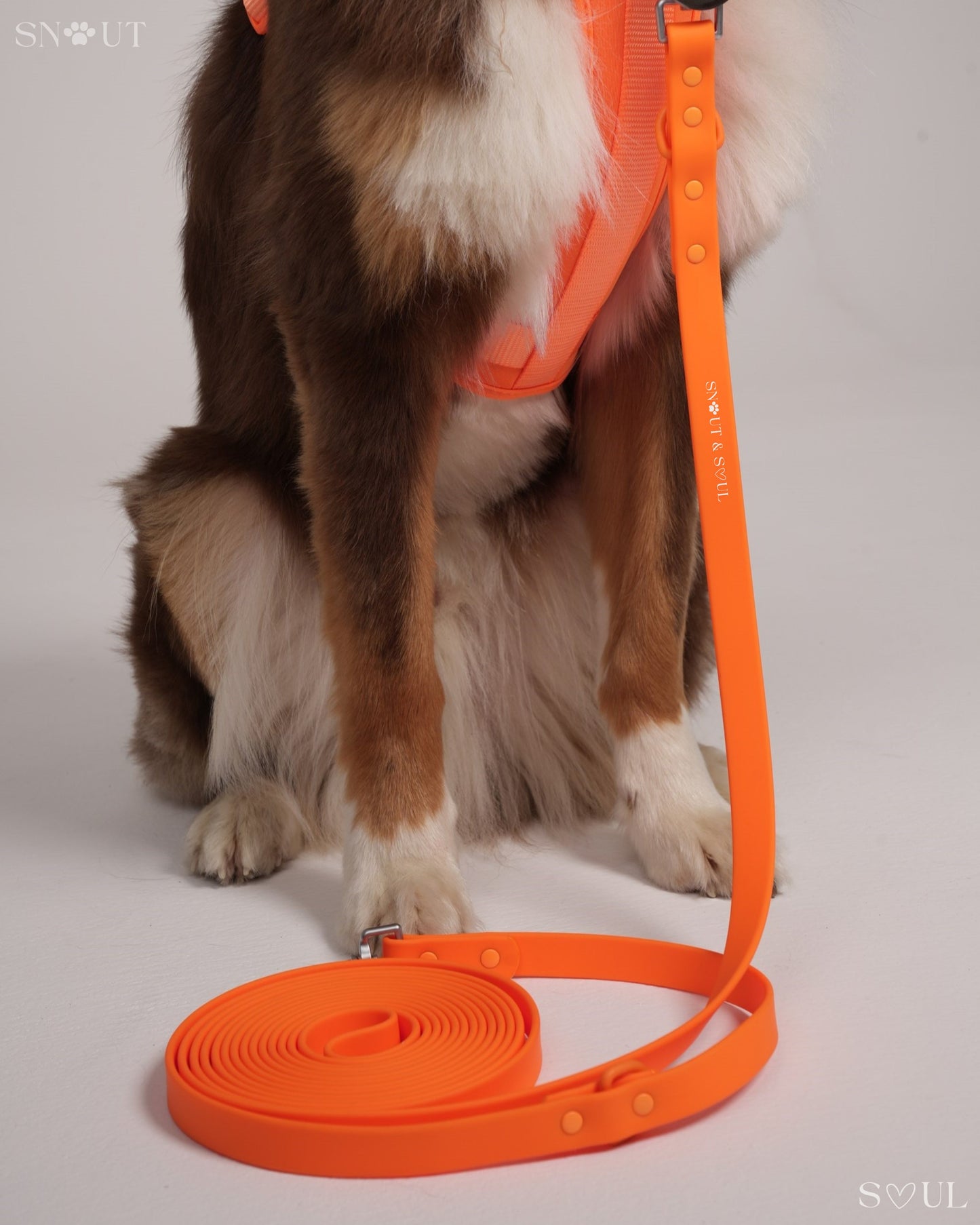 Long Leash